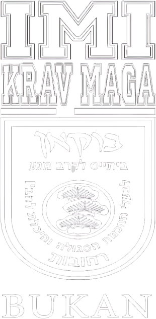 imikravmaga logo